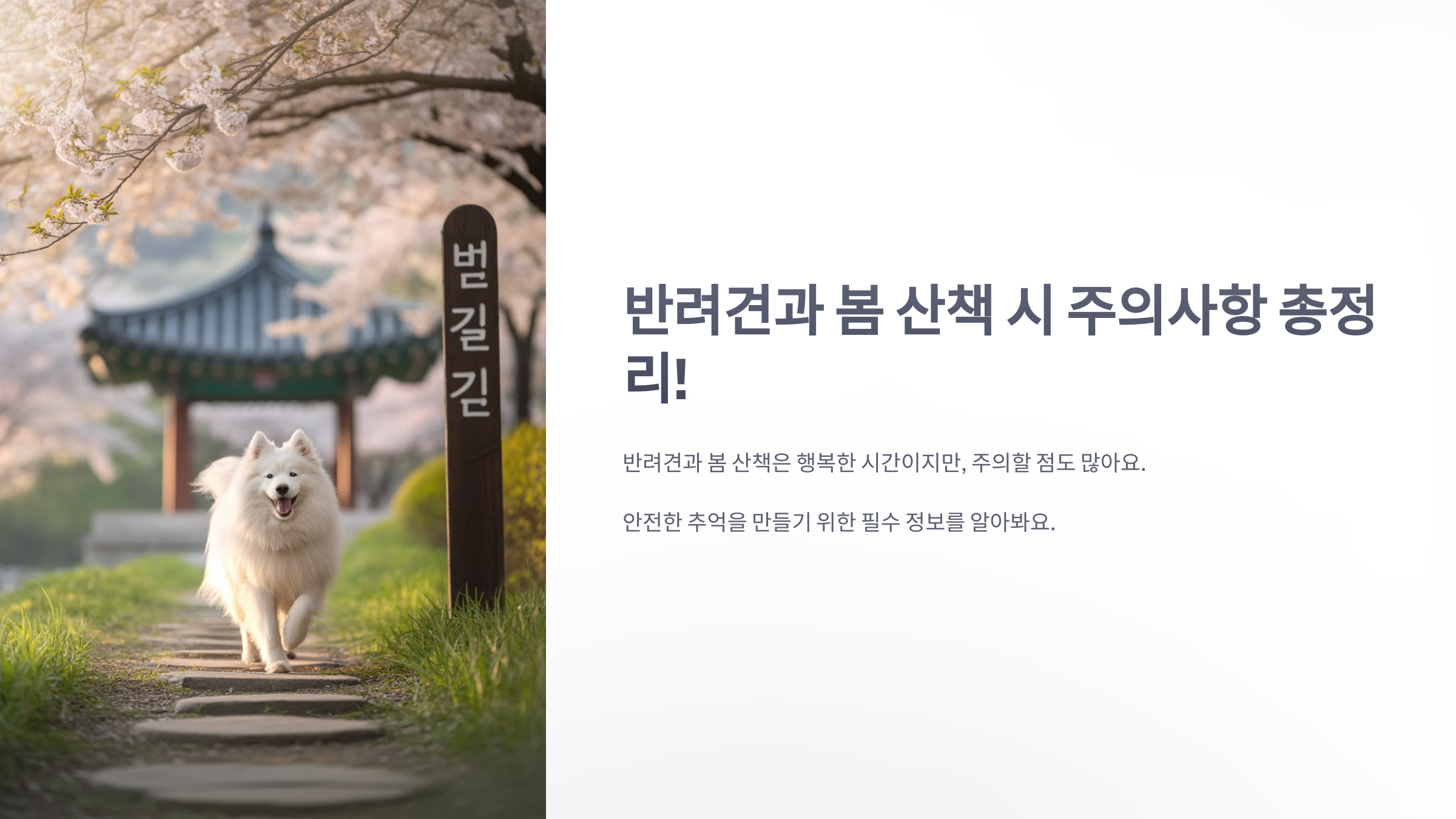 참조-반려견과-봄-산책시-주의사항-1
