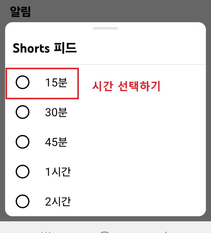 쇼츠 피드 선택창 보임