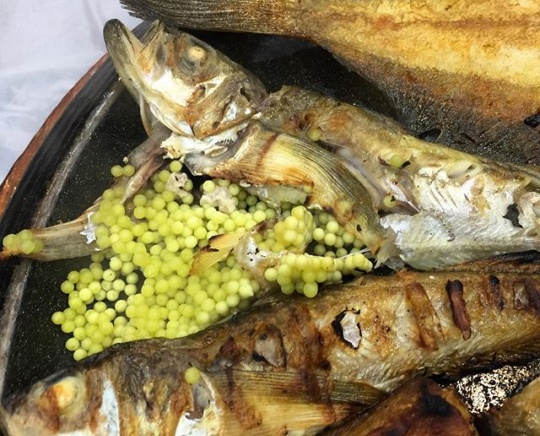 속초 생선구이 맛집, 동명항 생선숯불구이