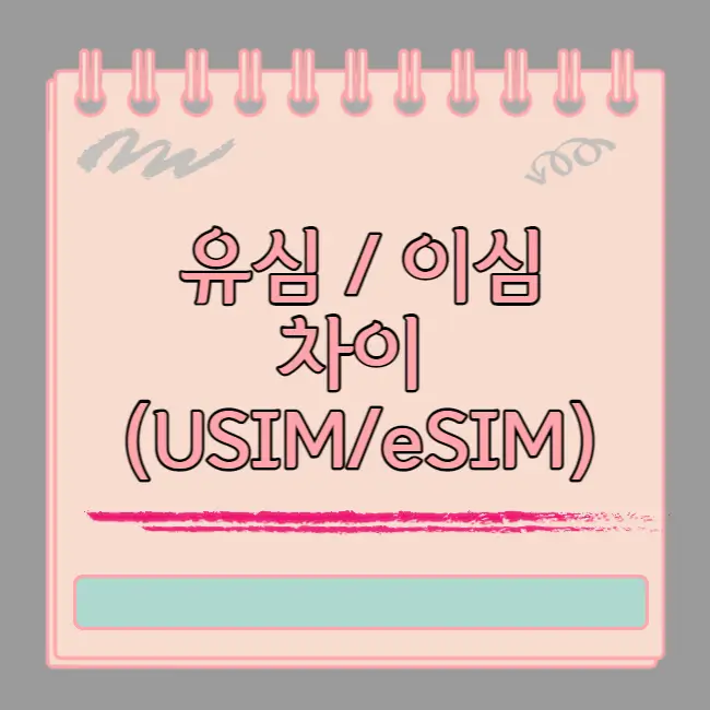 유심 이심 차이