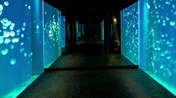 여수 아쿠아플라넷