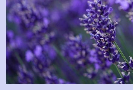 6월 국내 여행지 추천