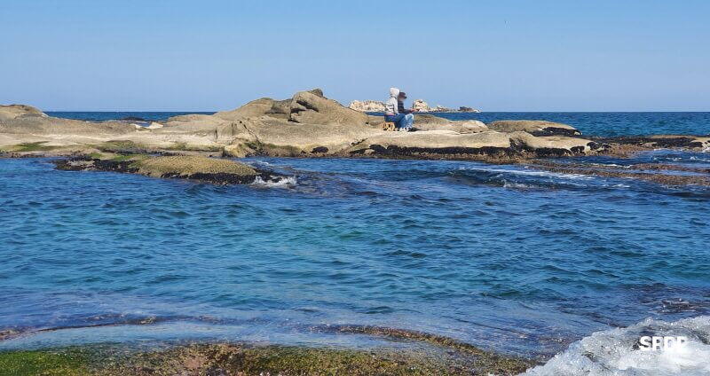 아야진-해변-해수욕장-스위밍터틀-강원도-고성-오션뷰-카페