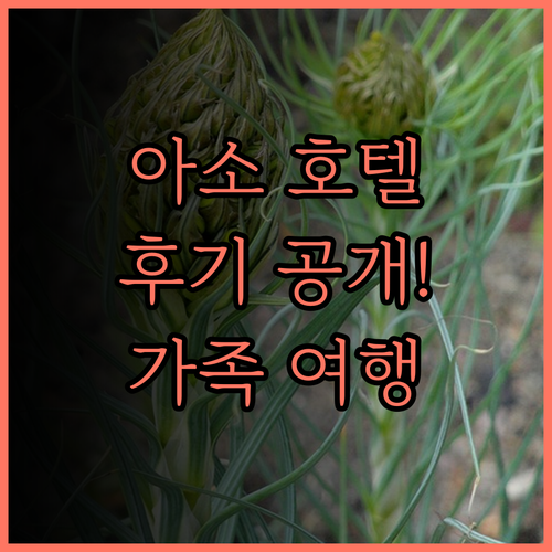 카메노이 호텔 아소 파크 리조트 후기