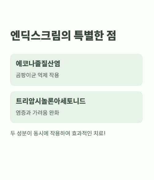 엔딕스크림의 특별한 점