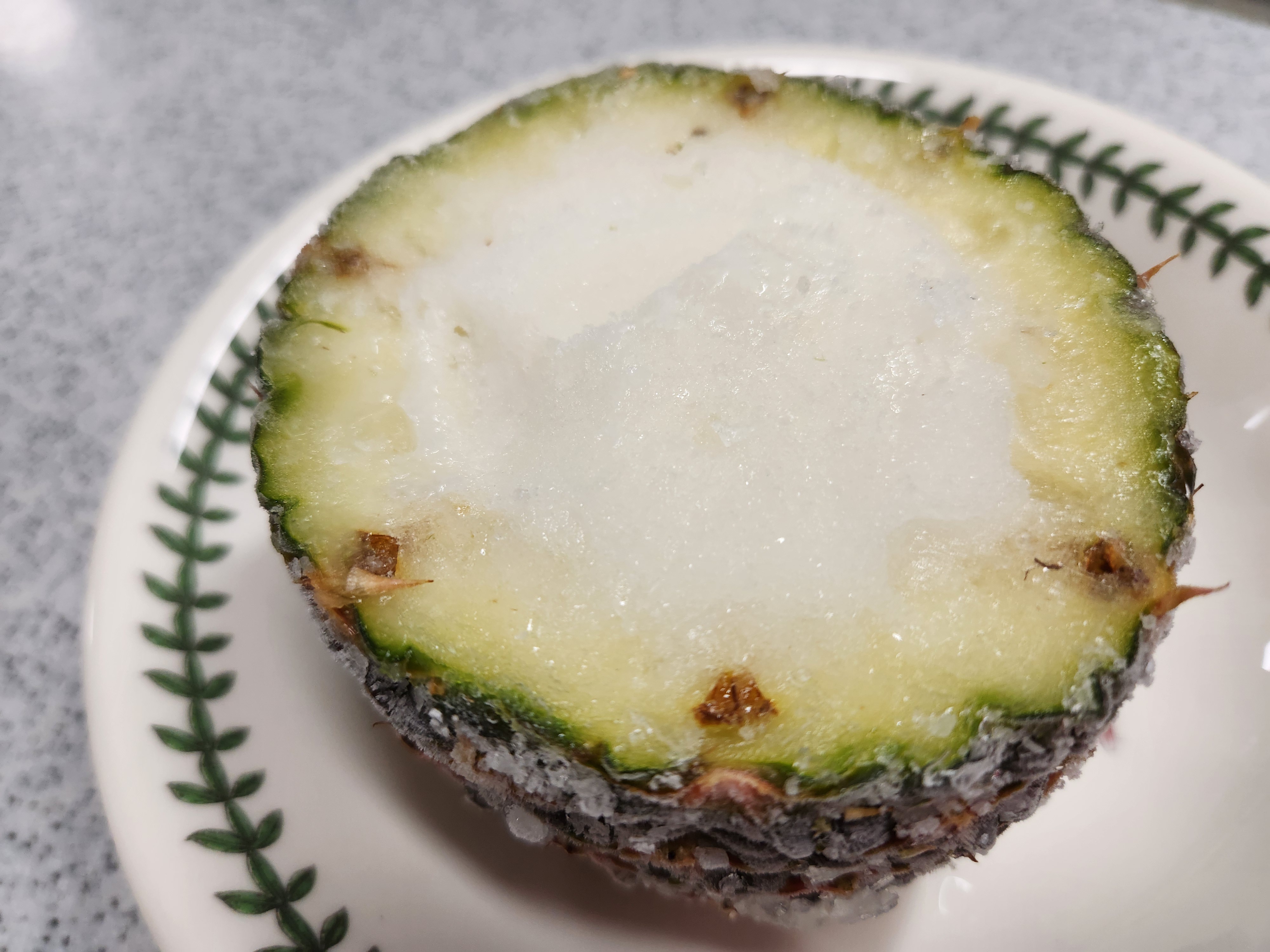 옥상일상 - 파인애플1