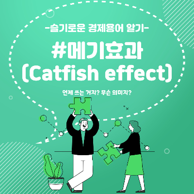 메기효과