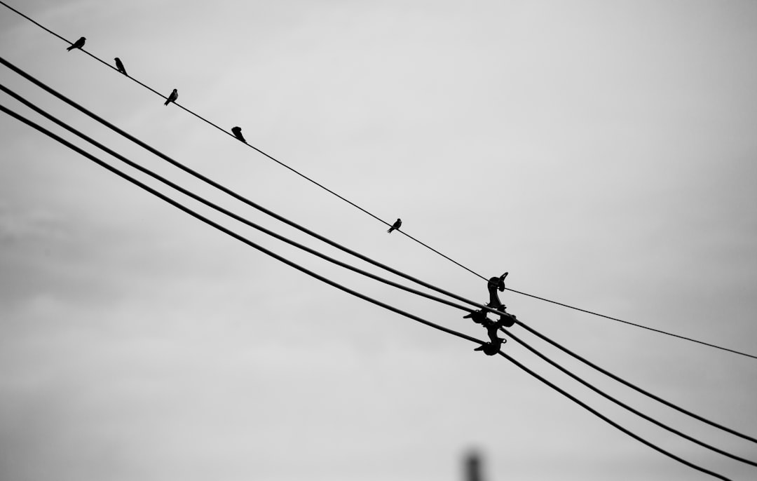 Connection.
