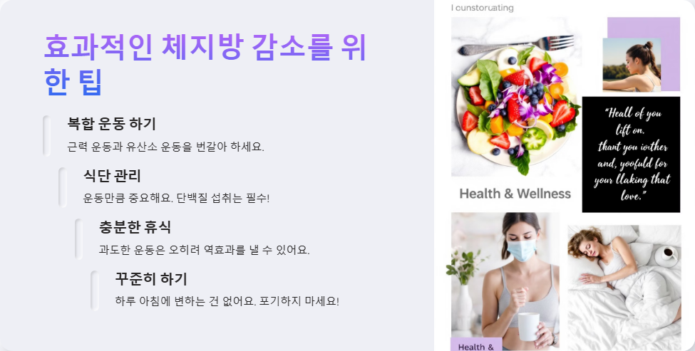 근력 운동 vs 유산소 운동, 체지방 감소에 더 효과적인 것은?