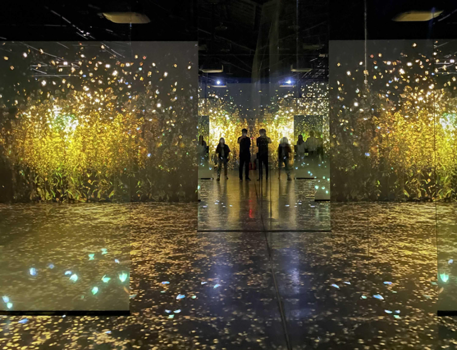 아르떼 뮤지엄 제주