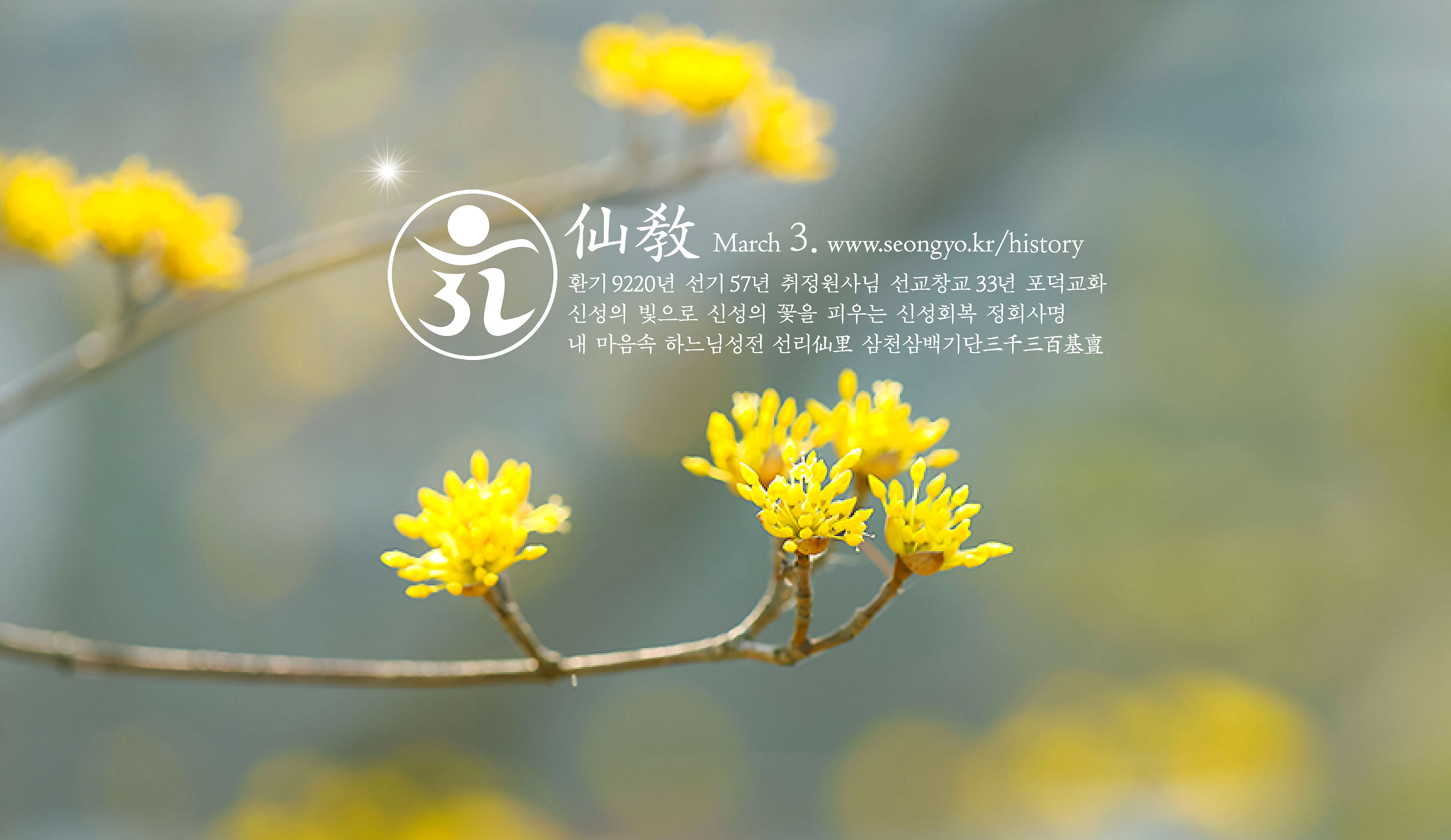 선교연혁, 선교창교, 선교창시, 선교 수행, 선교 기도, 선교의 역사, 포덕교화