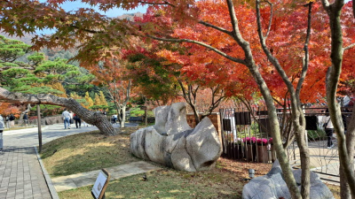 단풍명소_화담숲