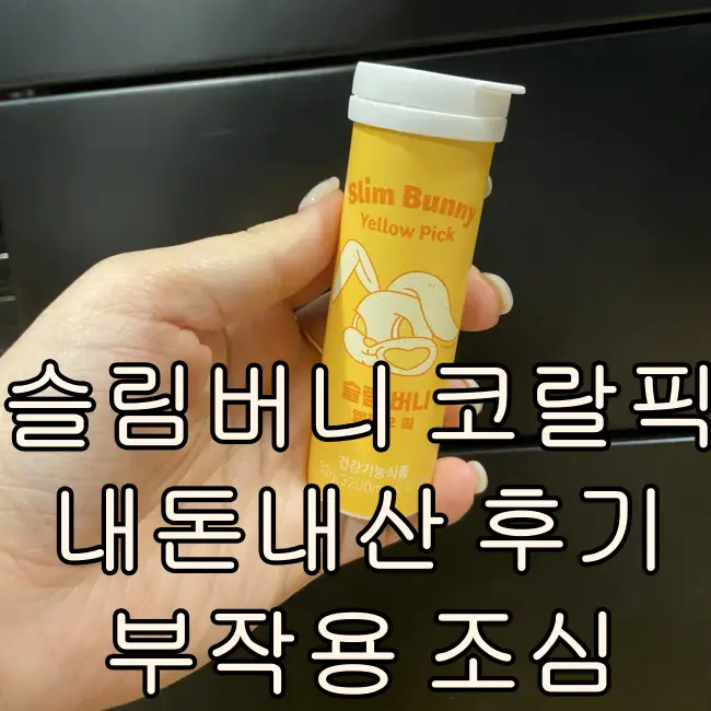 슬림버니 코랄픽 내돈내산 후기