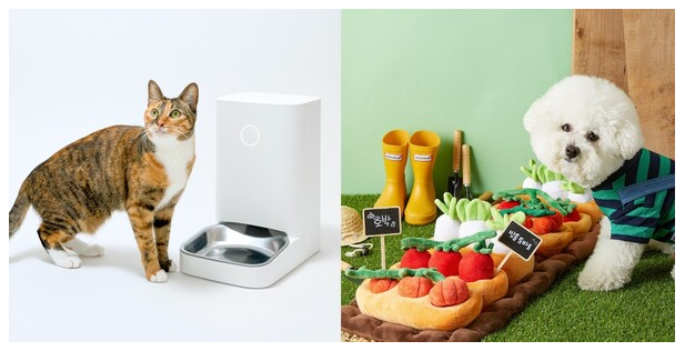 반려동물 건강 관리 필수품 2025: 사료, 영양제, 장난감 추천 가이드