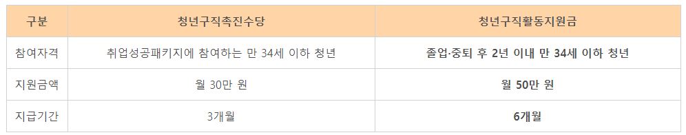 청년 구직활동지원금