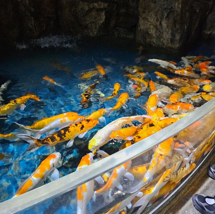 대구아쿠아리움