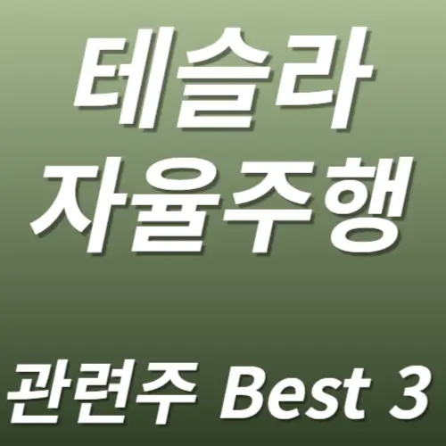 테슬라 자율주행 관련주 수혜주