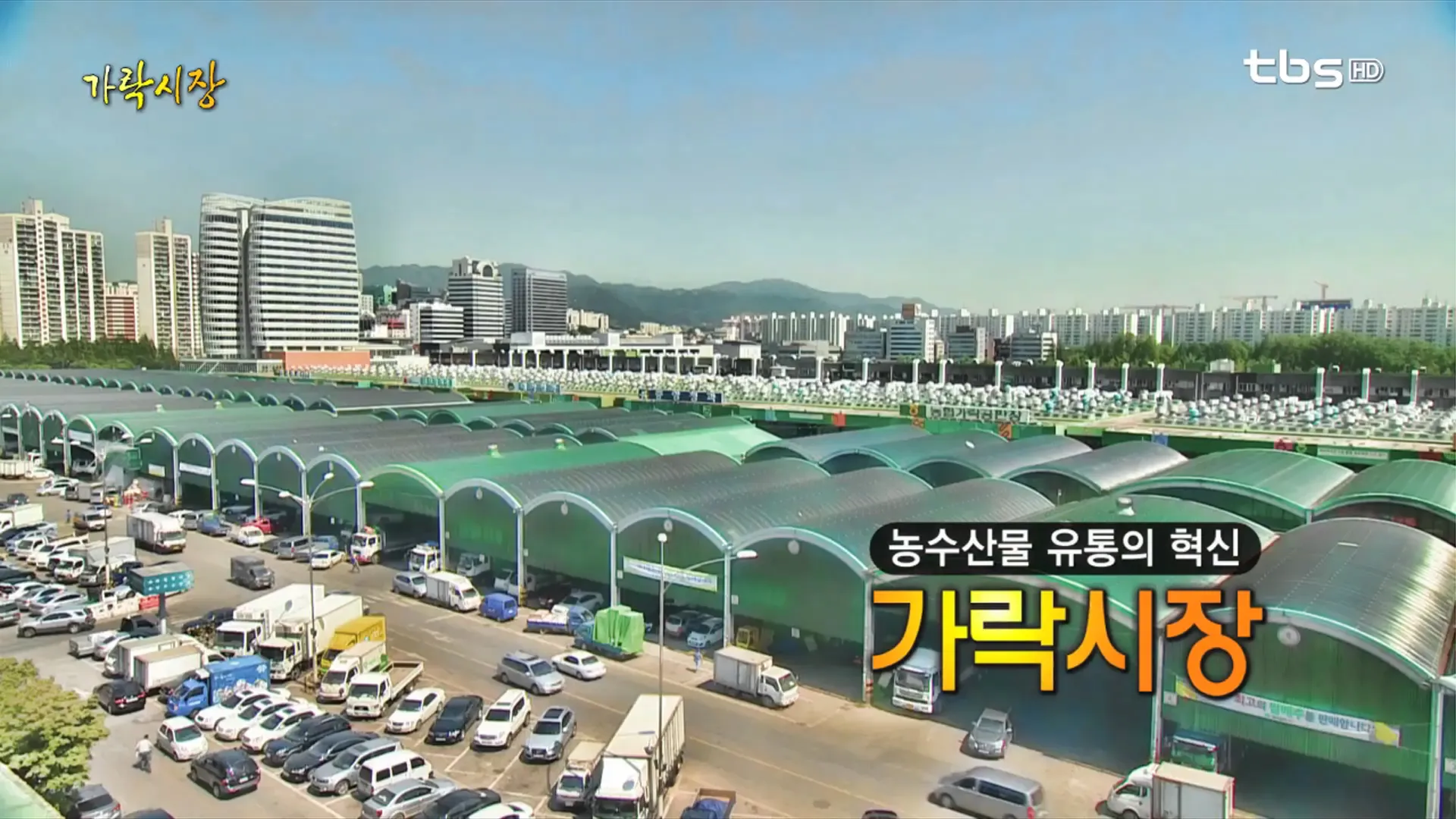 가락시장 맛집 회센터 수산시장 꽃게_4