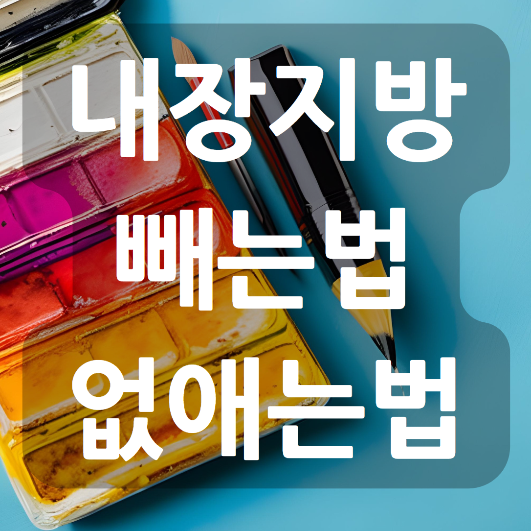 내장지방 빼는법 없애는법