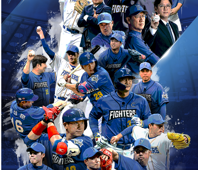 불꽃야구 직관 예매일정 서울고