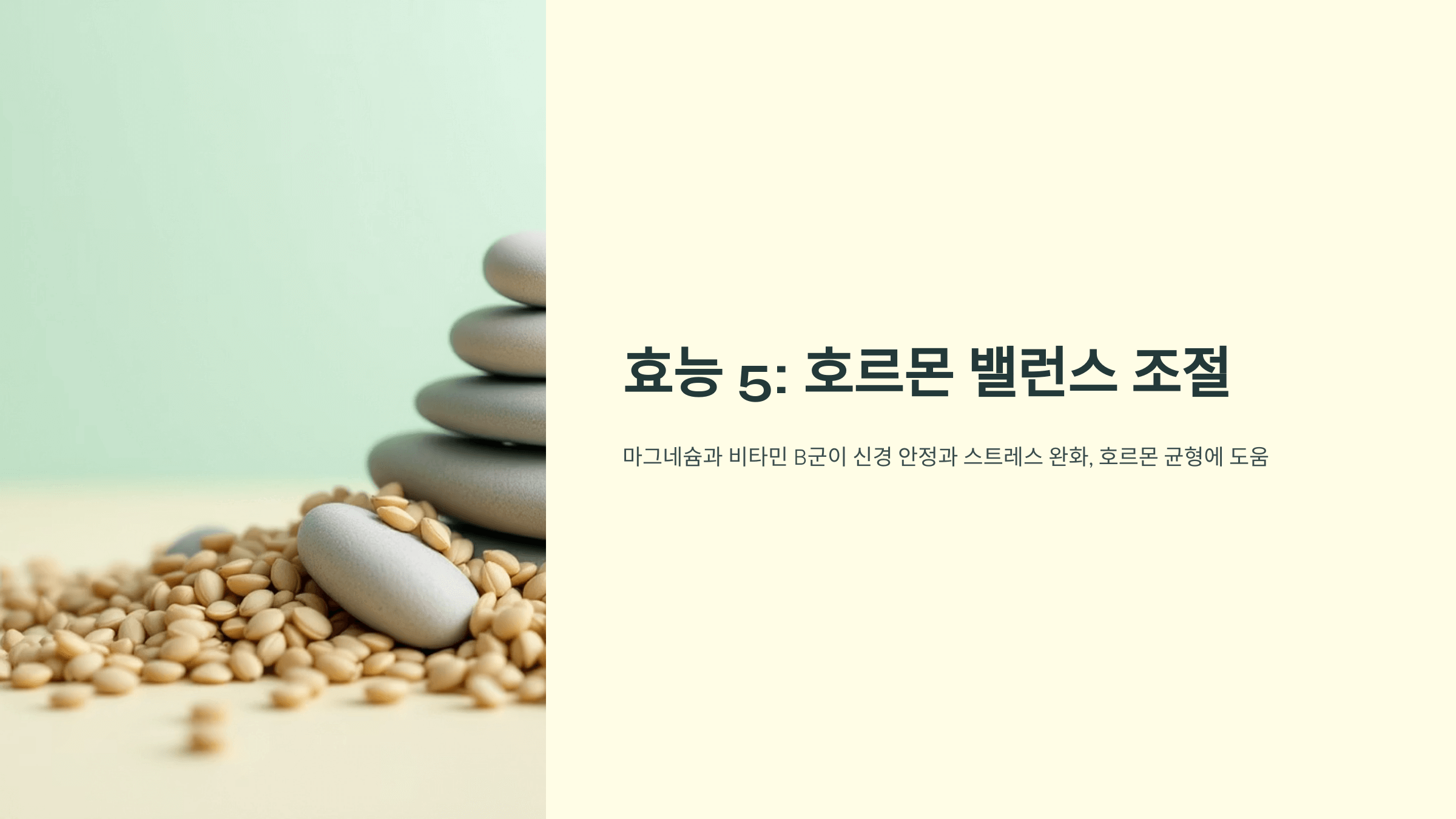 해바라기씨 사진입니다.