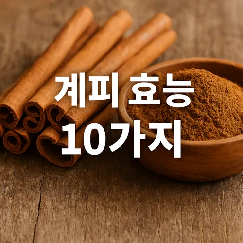 계피 효능 썸네일