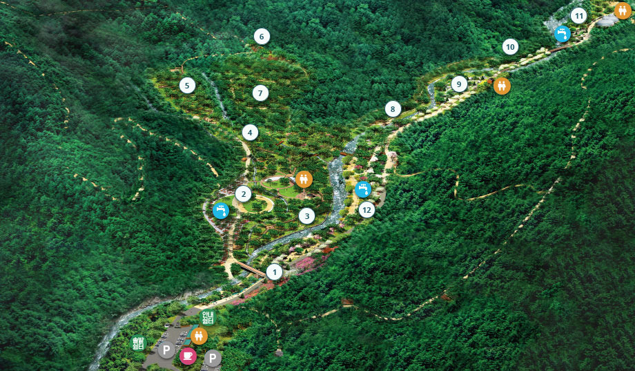 강릉 솔향수목원