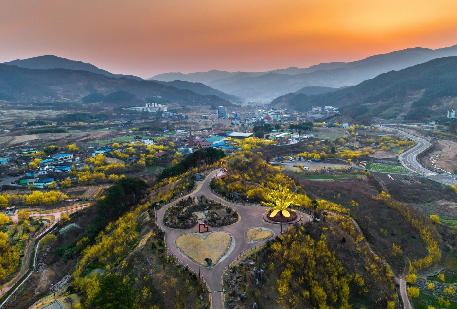 25회 구례 산수유 축제 기본 일정과 프로그램 소개