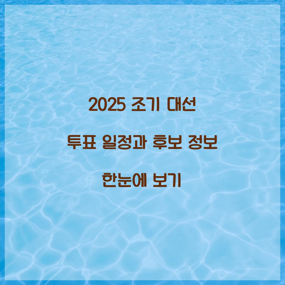 2025 조기 대선 투표