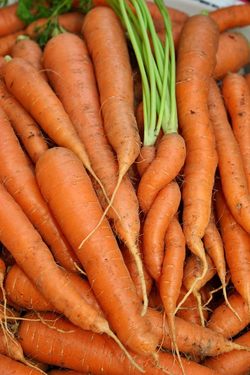 당근 효능 및 먹는법, 당근 보관법과 고르는법, 당근 부작용