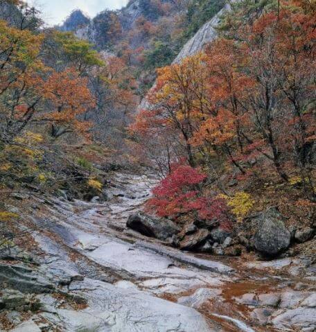 설악산 단풍시기