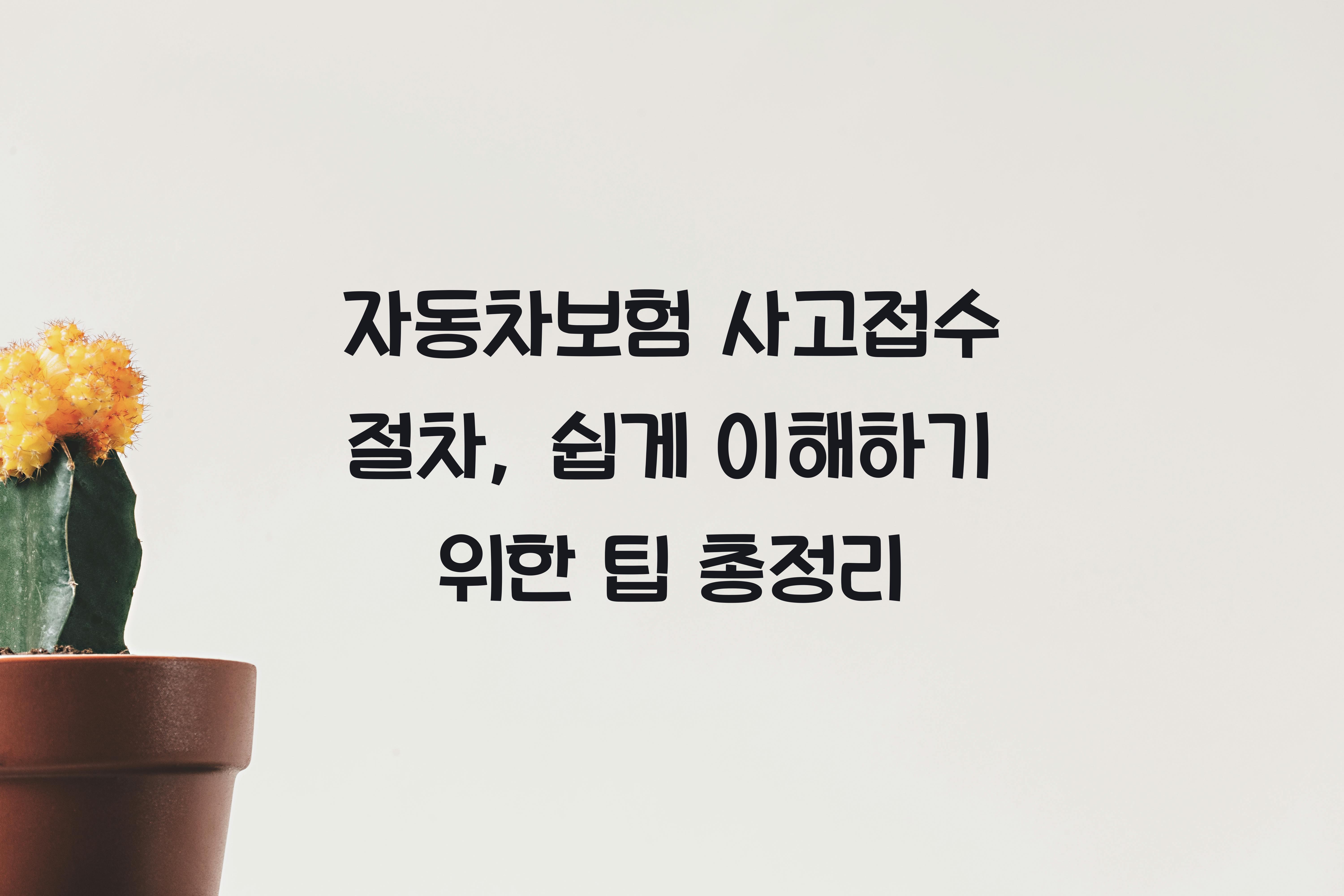 자동차보험 사고접수 절차