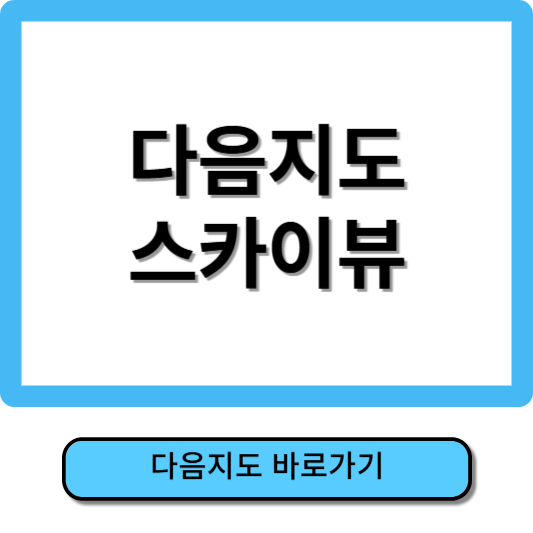 다음지도 스카이뷰