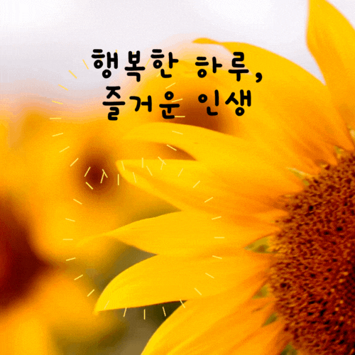 해바라기 그림 돈들어오는 그림 다운받기