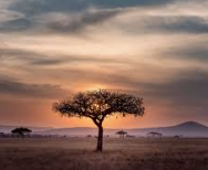 탄자니아 길거리 고급음식 (맛,가격,위생비교)