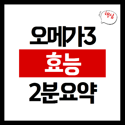 오메가3 효능