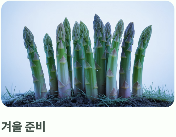 봄 심기, 성공으로 가는 가장 확실한 길