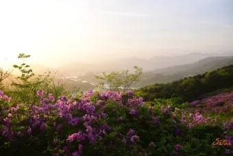 남원 봉화산 철쭉 산행 주차장 등산코스_15