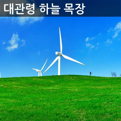 생방송투데이 대관령하늘목장 강원도 평창