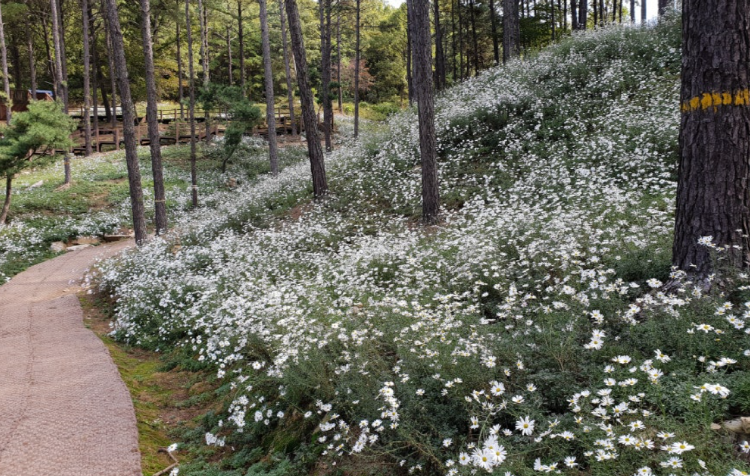 파주 율곡수목원