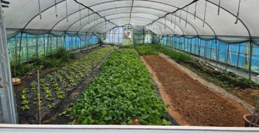 동네한바퀴-영암-토종-닭구이-텃밭가든