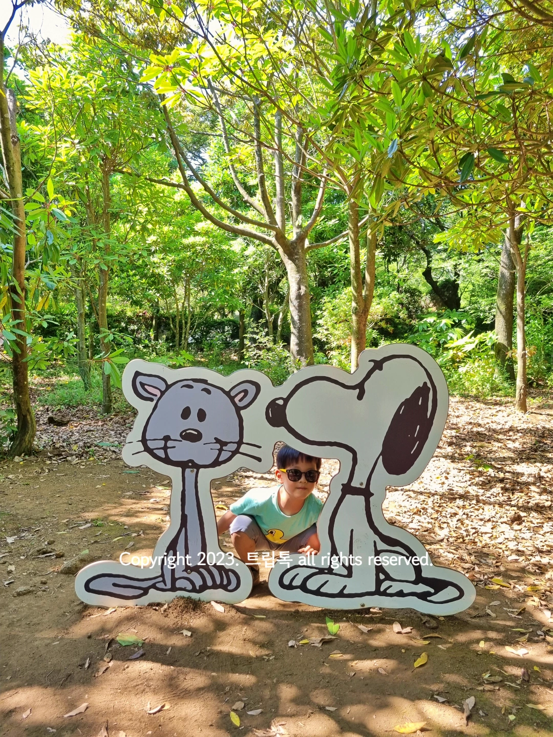 고양이를 바라보는 스누피