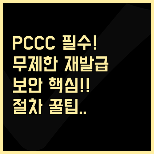 PCCC 재발급 횟수 제한 없음 보안..