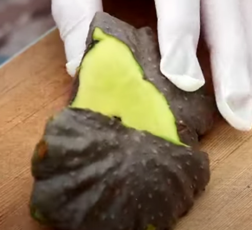 하늘마 재배법(심는 방법)2