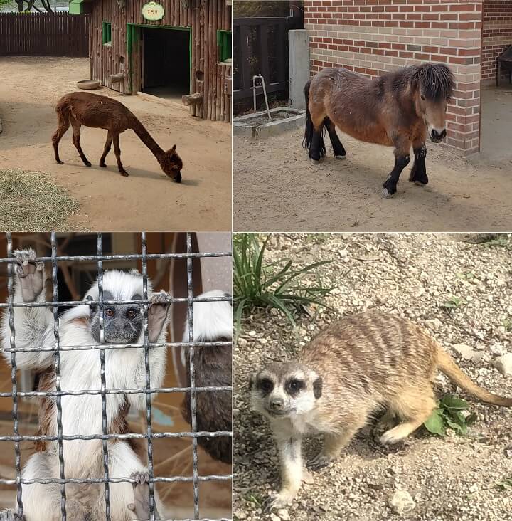 테마가든-동물들