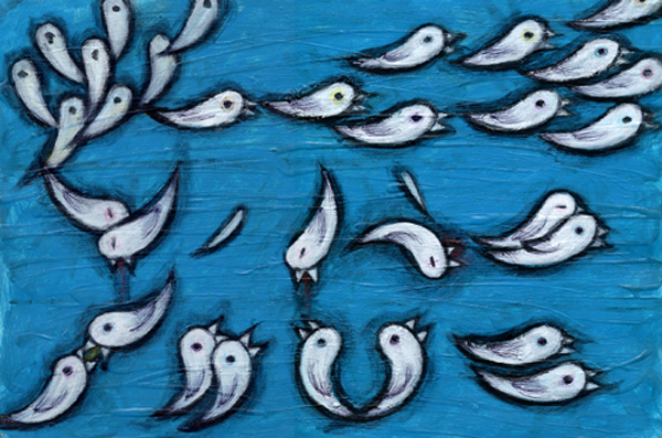 성인태권도이야기: 외눈박이 물고기