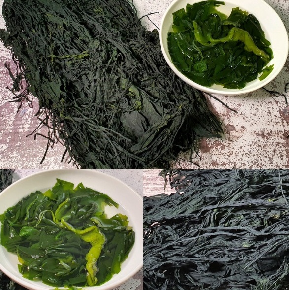 영덕-미역-석리마을-따개비미역국