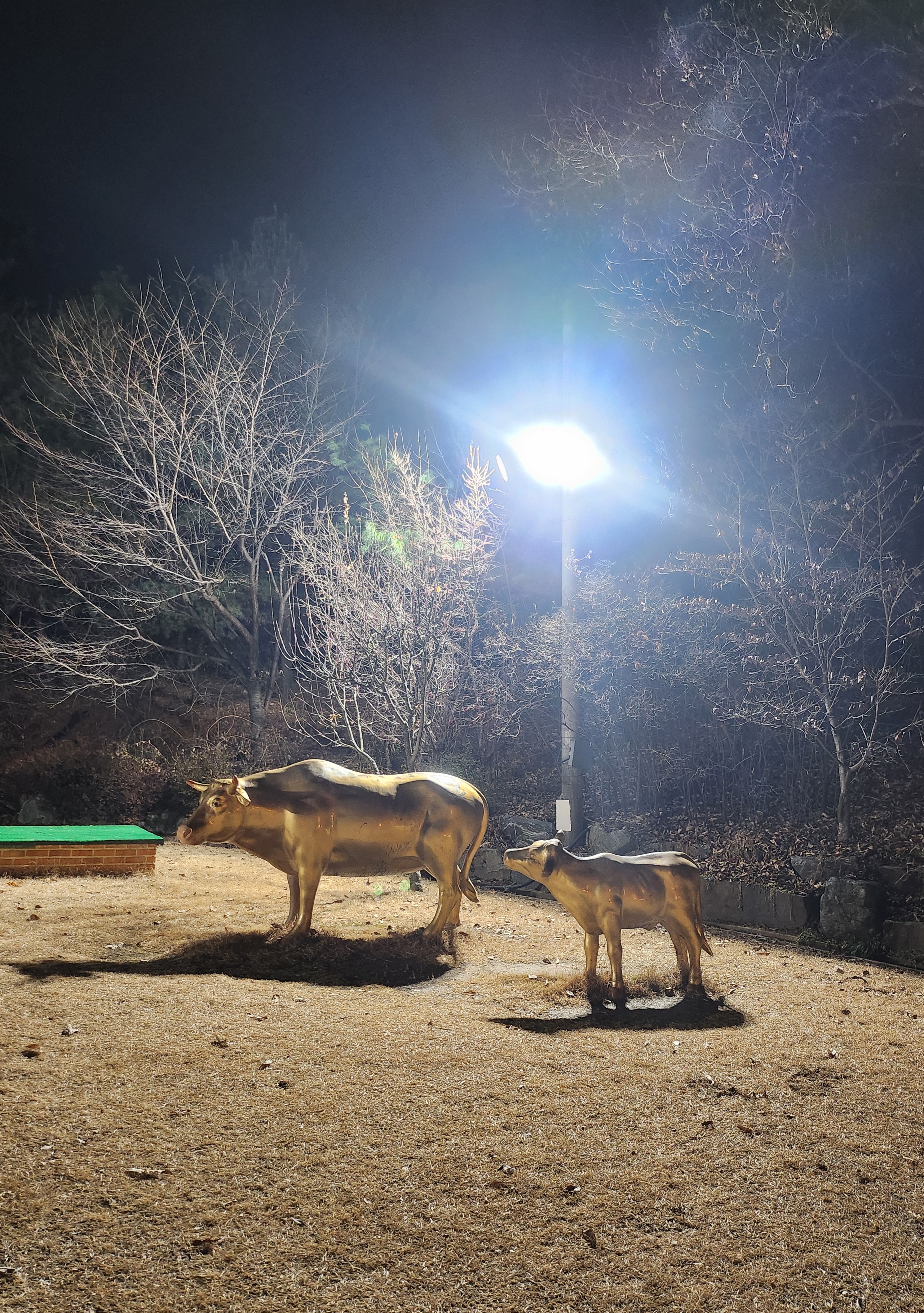 일산 덕이동 본가갈비 갈비탕 후기 1