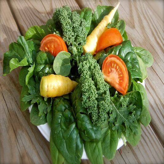 모의고사