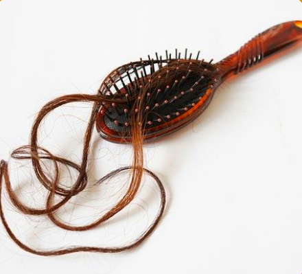 빗에-머리카락-낀-사진